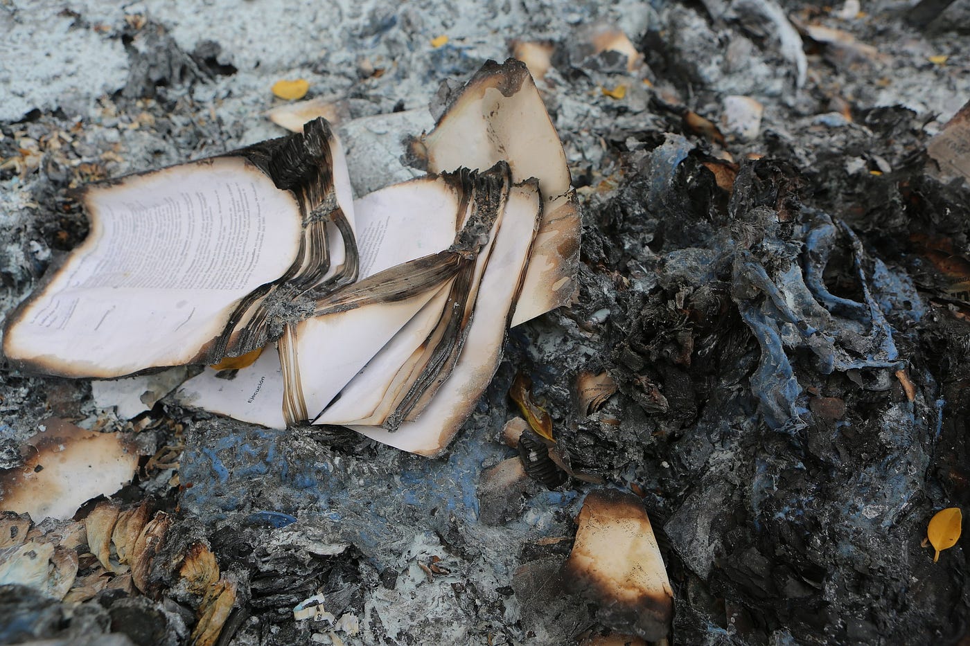 Charred book pages sitting on a burn pile